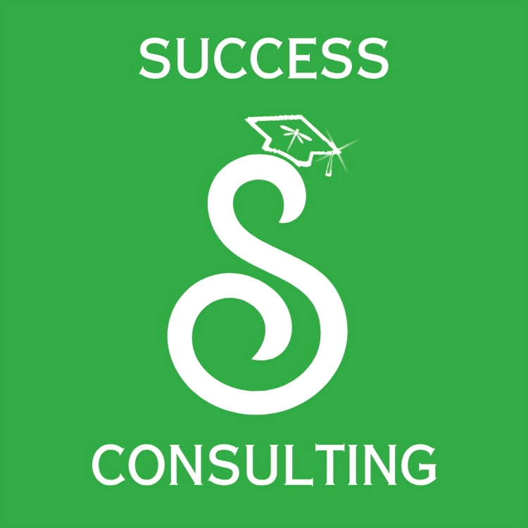 Success Consulting